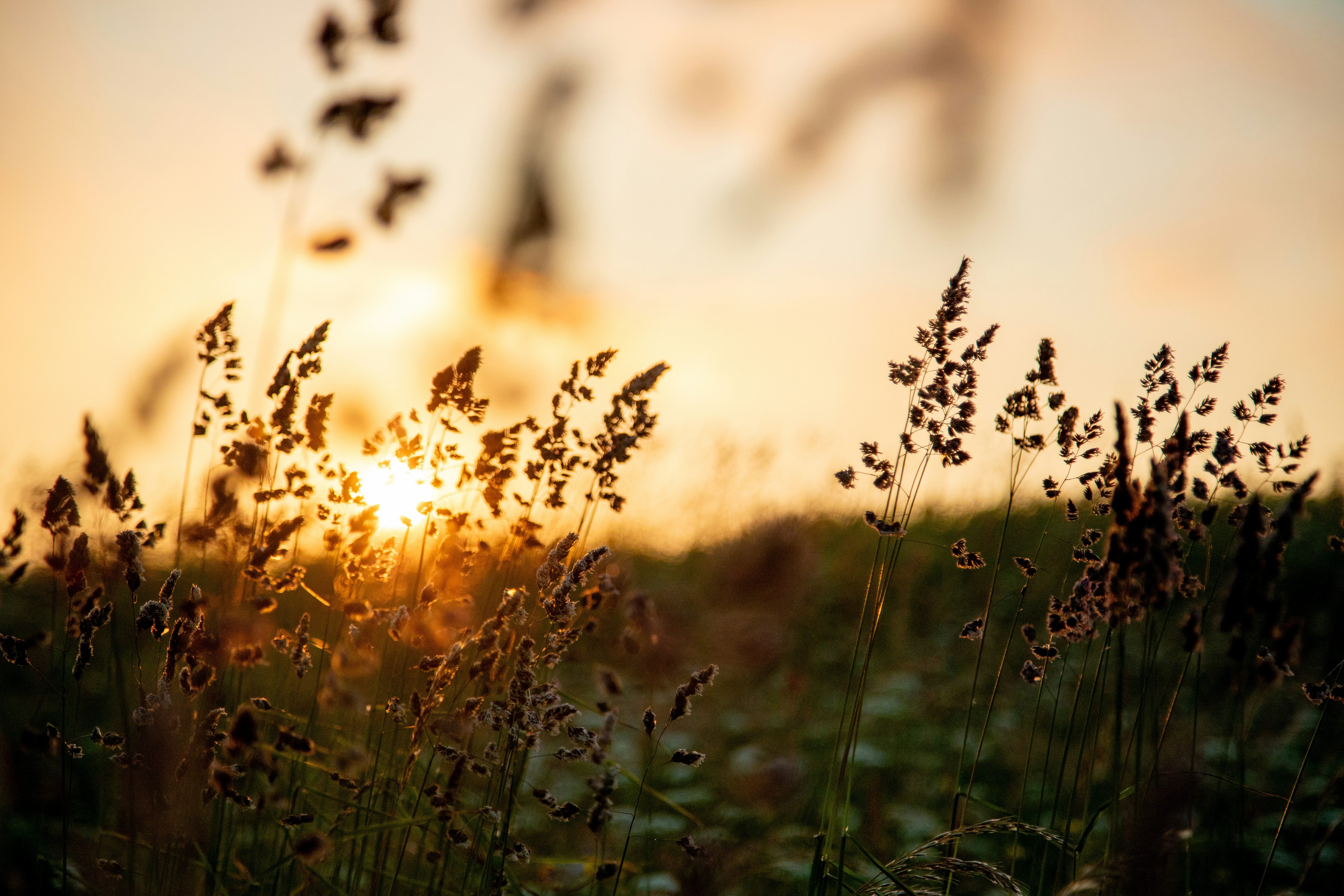 苍穹外卖学习笔记(跳过微信支付)