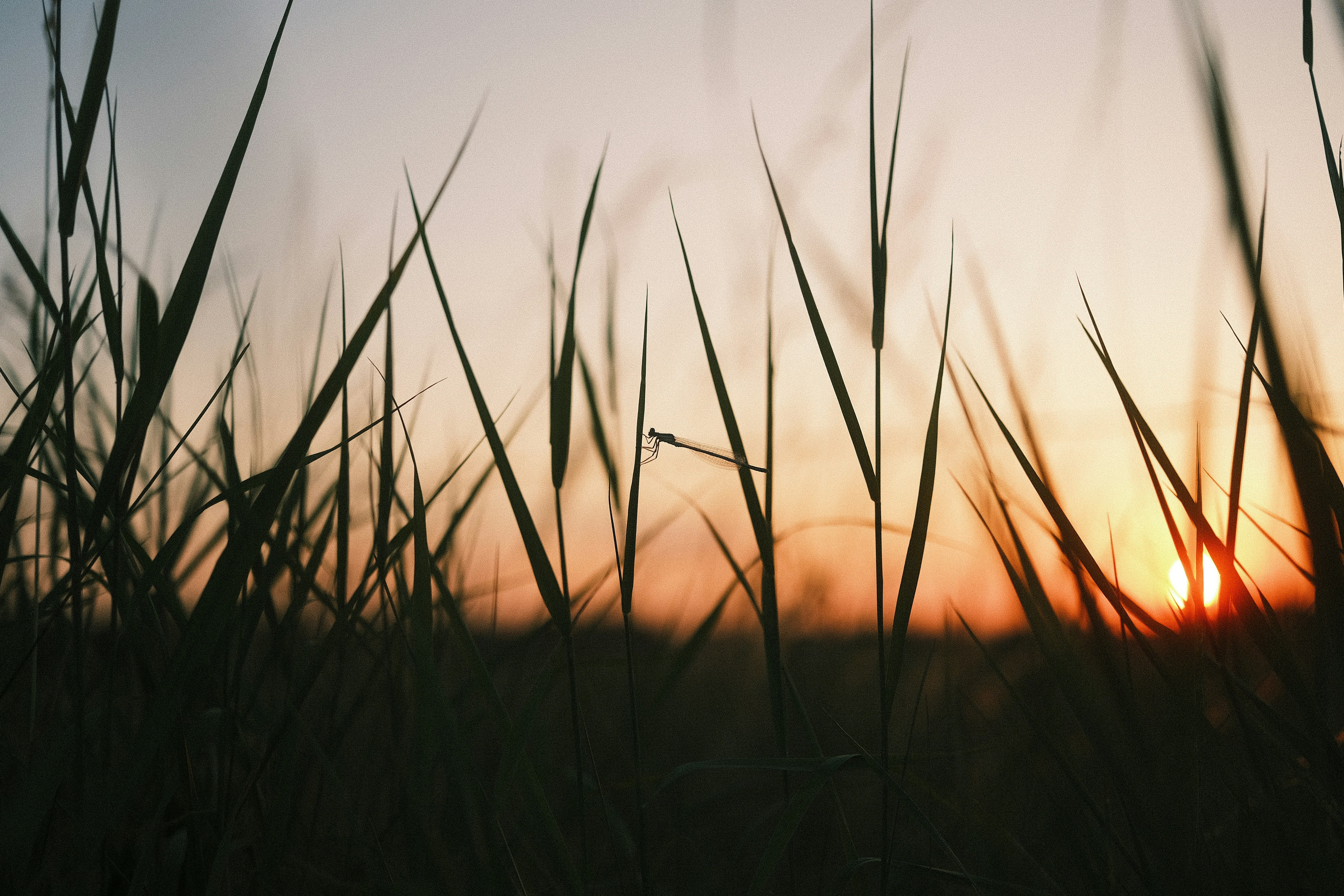 MySQL原理学习笔记