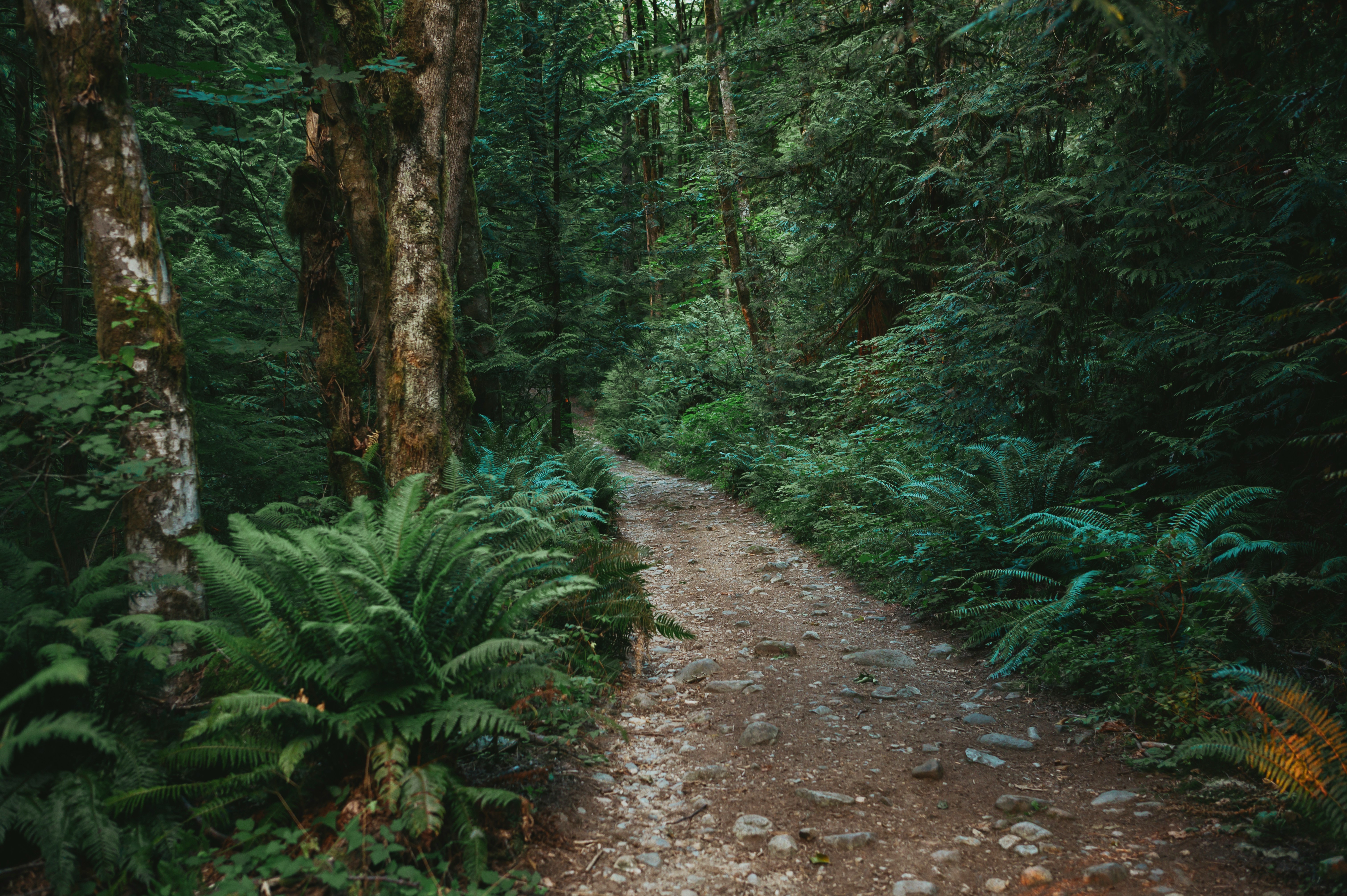 JAVA中的常用注解