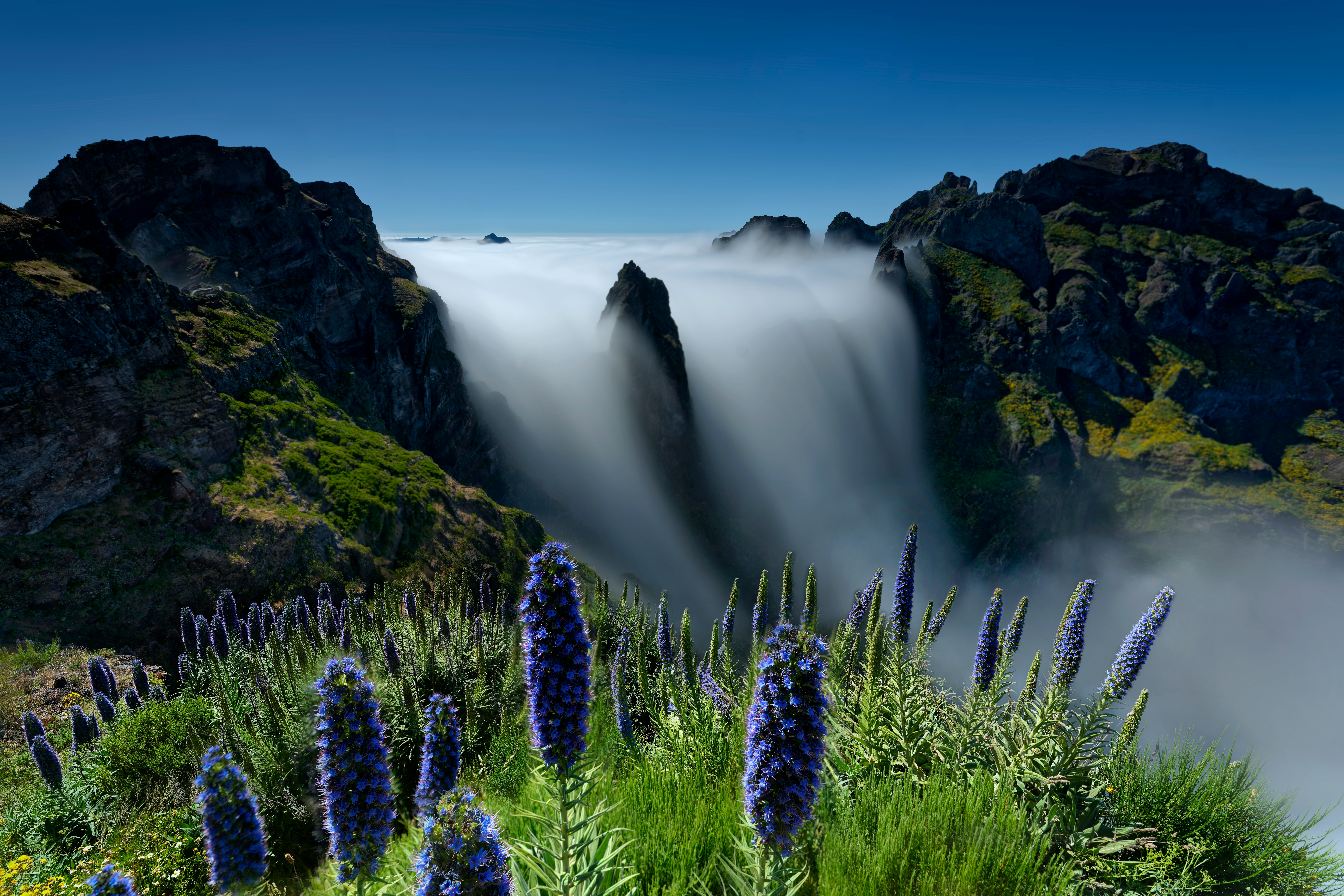 JAVA项目中使用Caffeine和Redis实现二级（多级）缓存